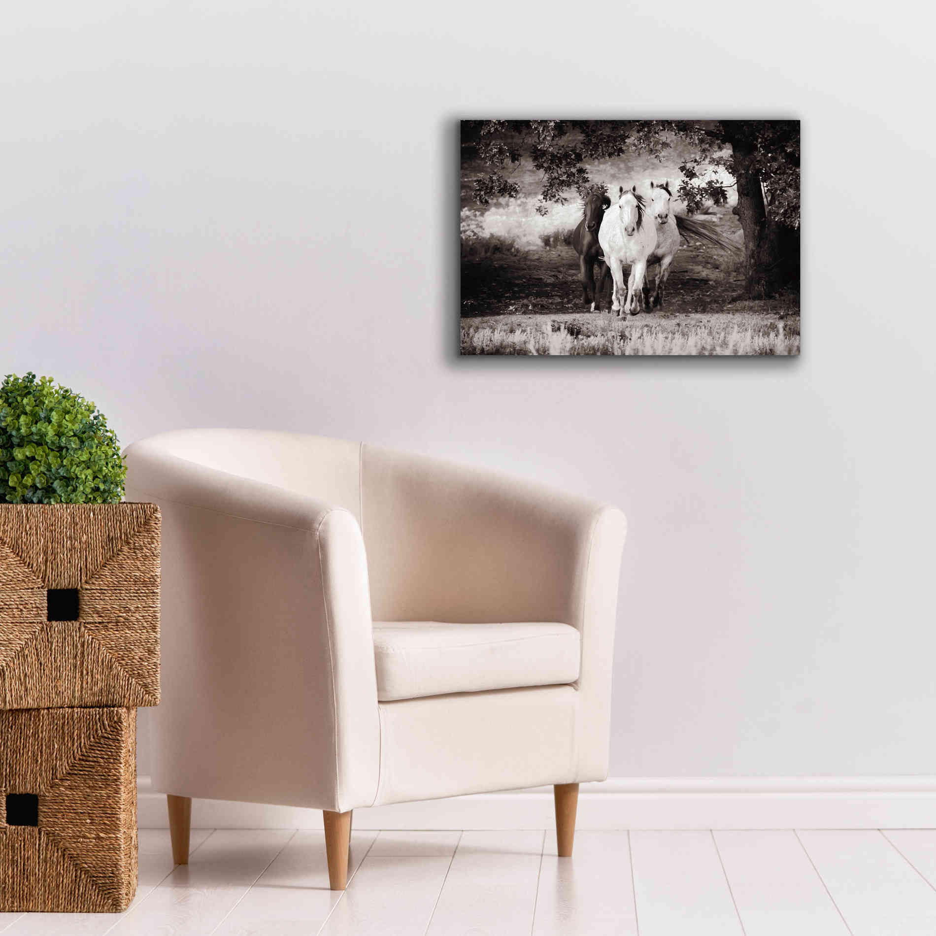 'Three Wild Horses Sepia' by Debra Van Swearingen, Canvas Wall Art,26 x 18