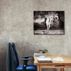 'Three Wild Horses Sepia' by Debra Van Swearingen, Canvas Wall Art,34 x 26