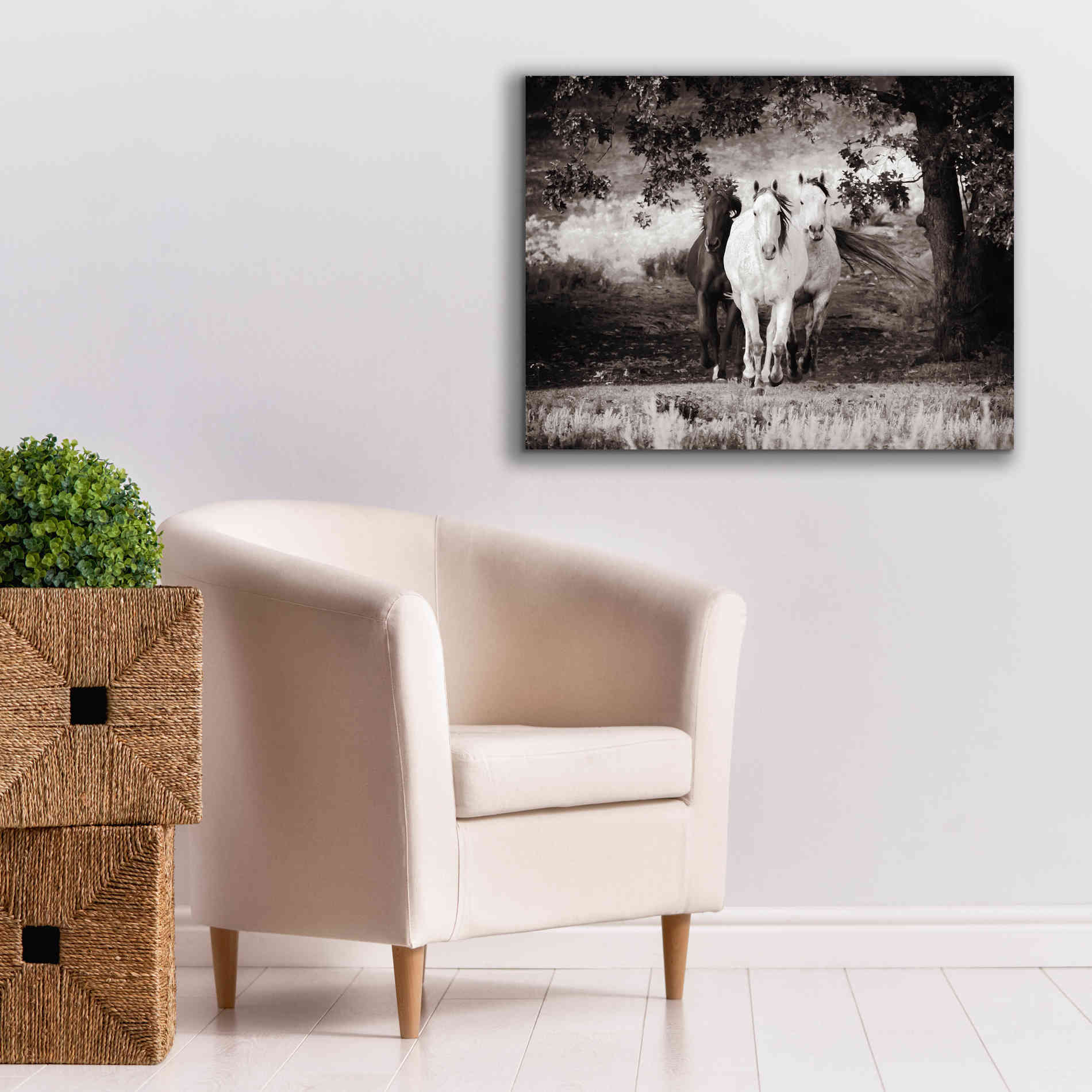 'Three Wild Horses Sepia' by Debra Van Swearingen, Canvas Wall Art,34 x 26