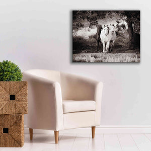 'Three Wild Horses Sepia' by Debra Van Swearingen, Canvas Wall Art,34 x 26