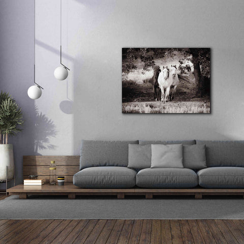 Image of 'Three Wild Horses Sepia' by Debra Van Swearingen, Canvas Wall Art,54 x 40