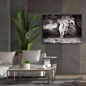 'Three Wild Horses Sepia' by Debra Van Swearingen, Canvas Wall Art,54 x 40