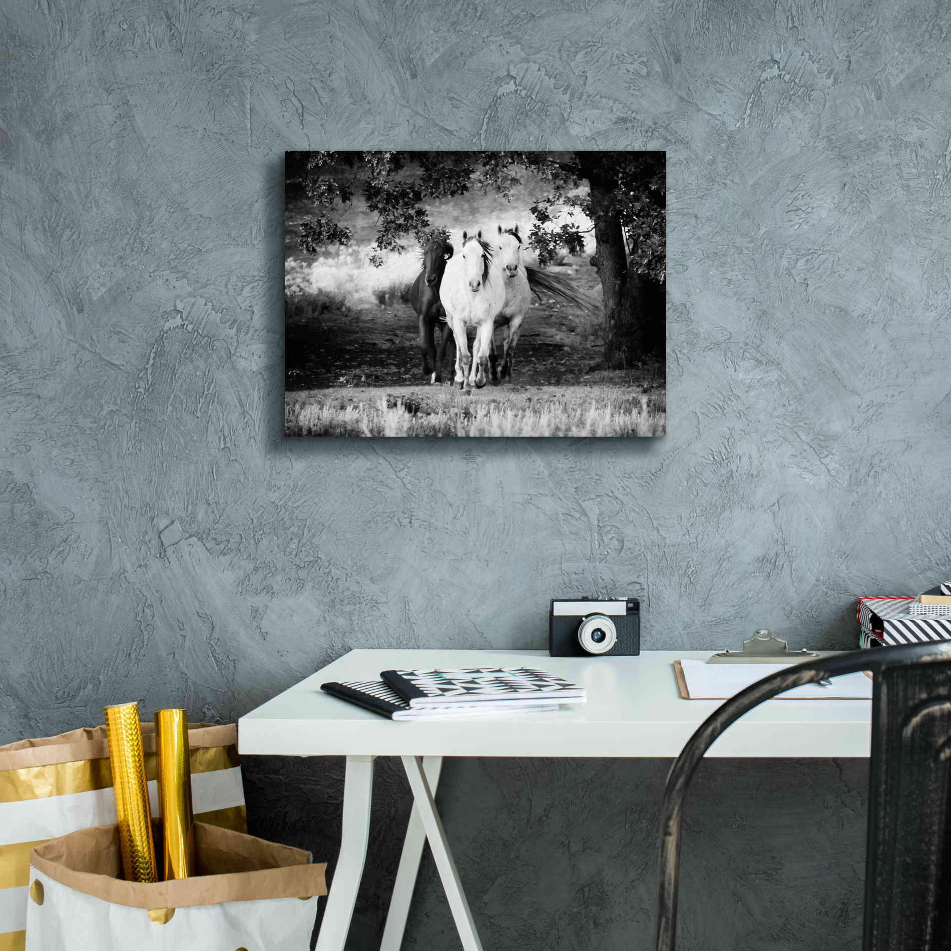 'Three Wild Horses BW' by Debra Van Swearingen, Canvas Wall Art,16 x 12