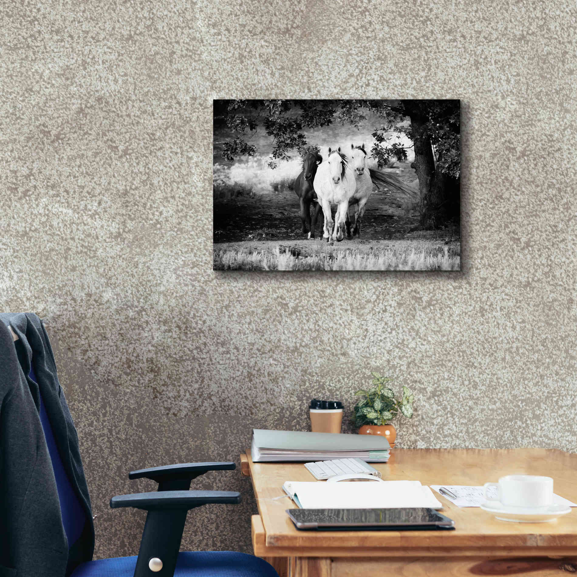 'Three Wild Horses BW' by Debra Van Swearingen, Canvas Wall Art,26 x 18