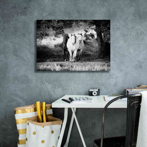 'Three Wild Horses BW' by Debra Van Swearingen, Canvas Wall Art,26 x 18