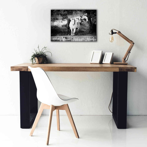 Image of 'Three Wild Horses BW' by Debra Van Swearingen, Canvas Wall Art,26 x 18