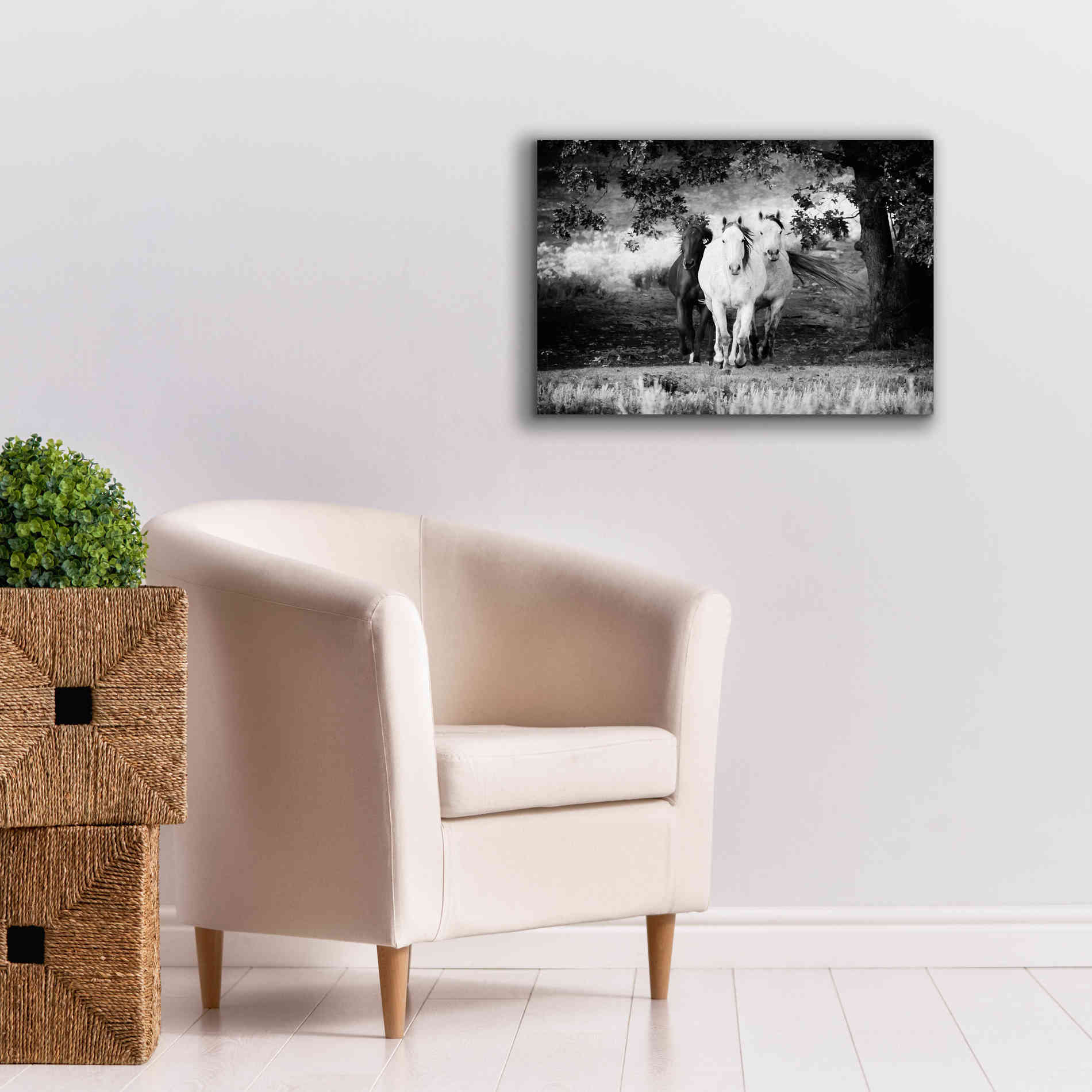 'Three Wild Horses BW' by Debra Van Swearingen, Canvas Wall Art,26 x 18