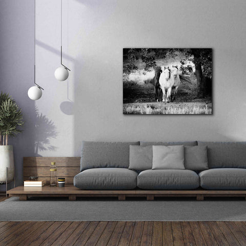 Image of 'Three Wild Horses BW' by Debra Van Swearingen, Canvas Wall Art,54 x 40