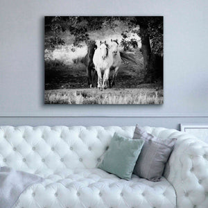 'Three Wild Horses BW' by Debra Van Swearingen, Canvas Wall Art,54 x 40