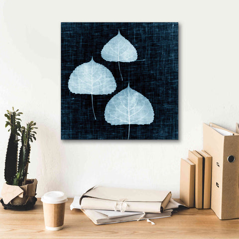 Image of 'Leaves on Linen III' by Debra Van Swearingen, Canvas Wall Art,18 x 18