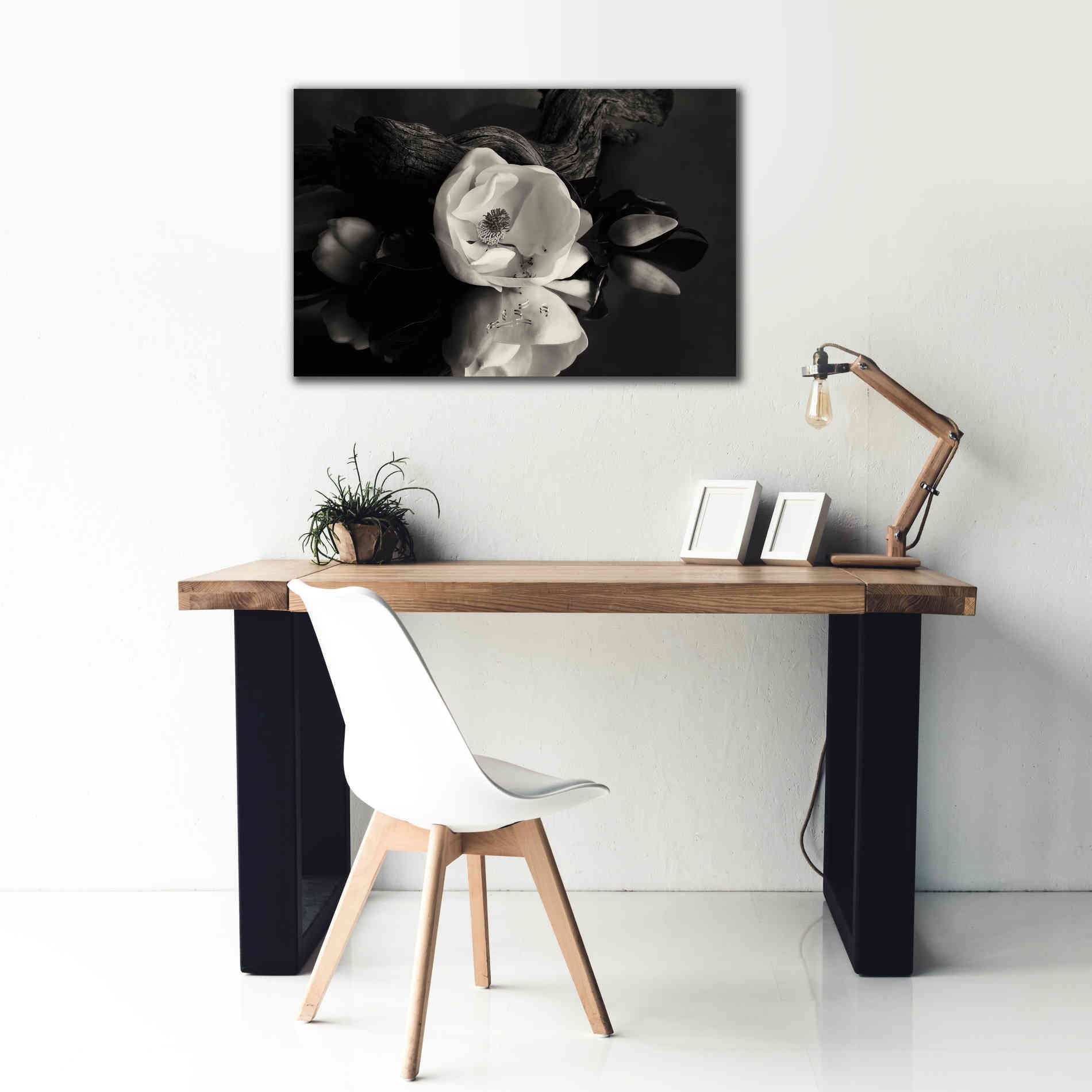 'Magnolia and Driftwood I' by Debra Van Swearingen, Canvas Wall Art,40 x 26