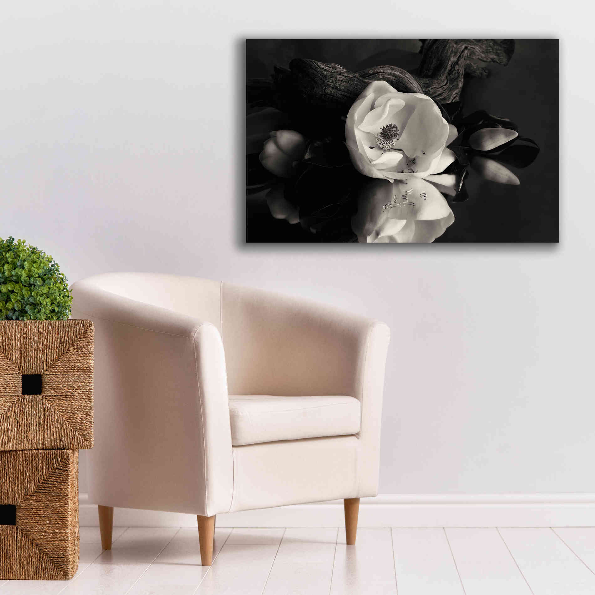 'Magnolia and Driftwood I' by Debra Van Swearingen, Canvas Wall Art,40 x 26