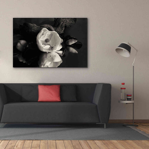 Image of 'Magnolia and Driftwood I' by Debra Van Swearingen, Canvas Wall Art,60 x 40
