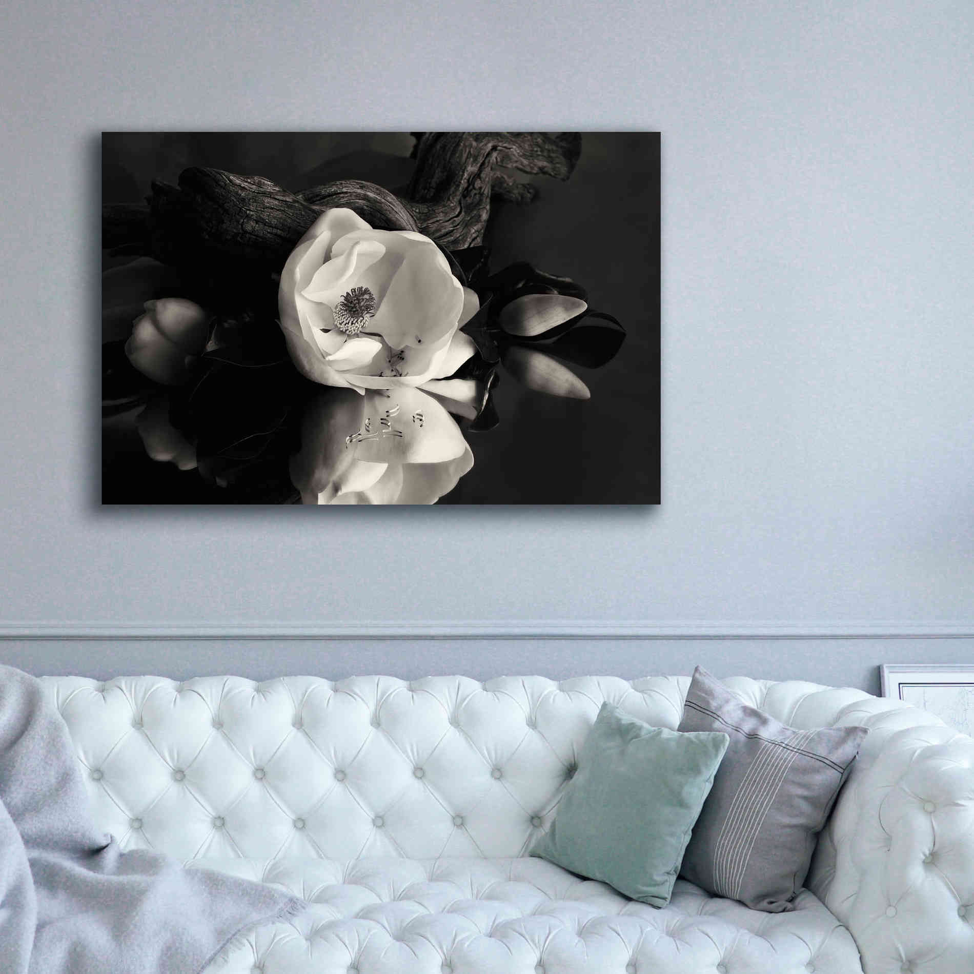 'Magnolia and Driftwood I' by Debra Van Swearingen, Canvas Wall Art,60 x 40
