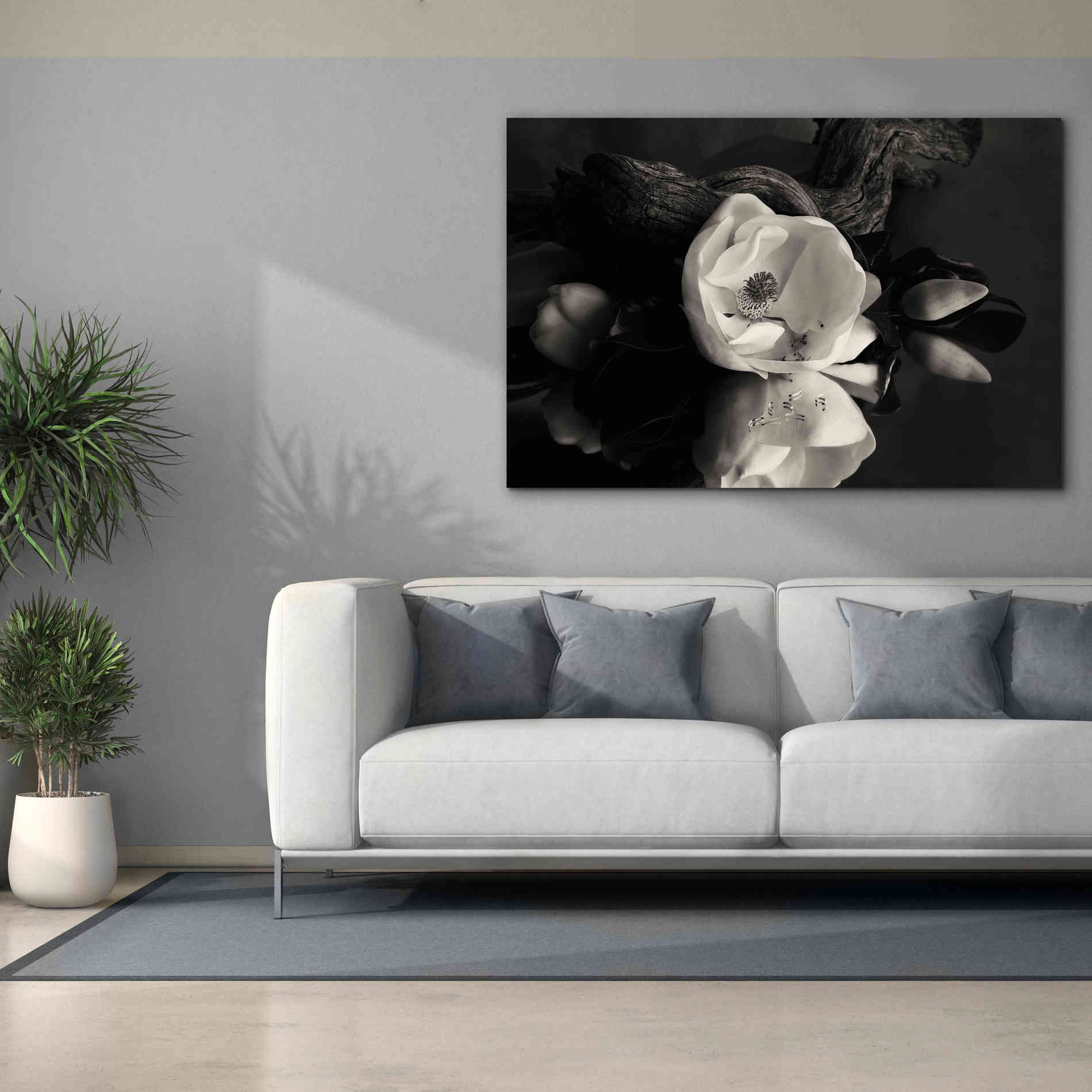 'Magnolia and Driftwood I' by Debra Van Swearingen, Canvas Wall Art,60 x 40