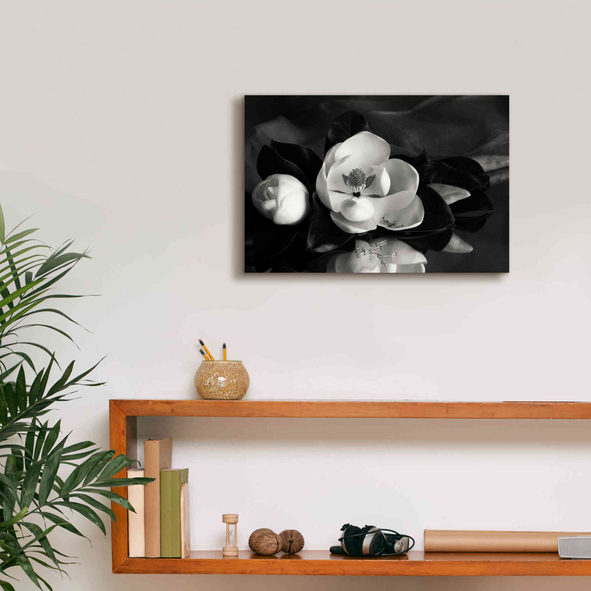 'Magnolia in Bloom' by Debra Van Swearingen, Canvas Wall Art,18 x 12