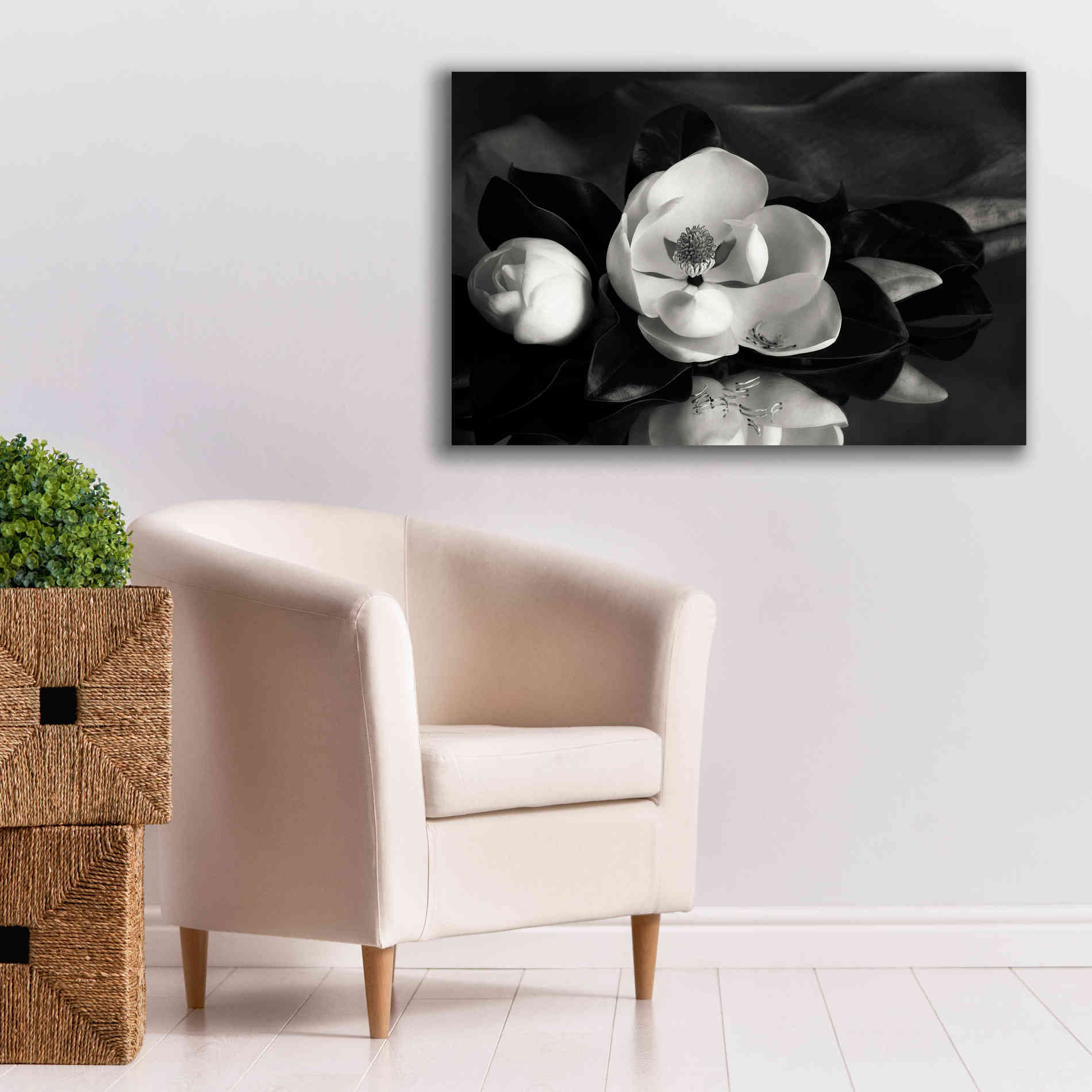 'Magnolia in Bloom' by Debra Van Swearingen, Canvas Wall Art,40 x 26