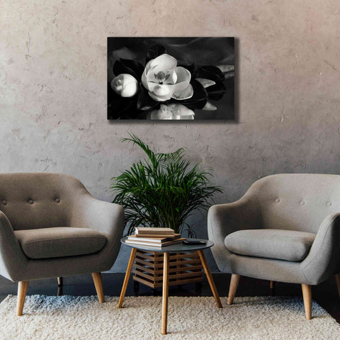 Image of 'Magnolia in Bloom' by Debra Van Swearingen, Canvas Wall Art,40 x 26