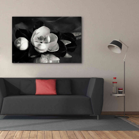 Image of 'Magnolia in Bloom' by Debra Van Swearingen, Canvas Wall Art,60 x 40