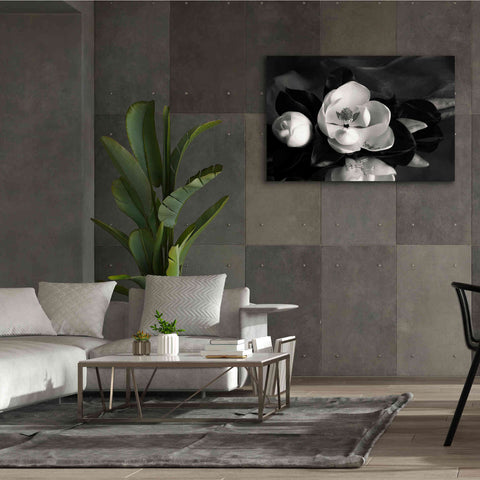 Image of 'Magnolia in Bloom' by Debra Van Swearingen, Canvas Wall Art,60 x 40