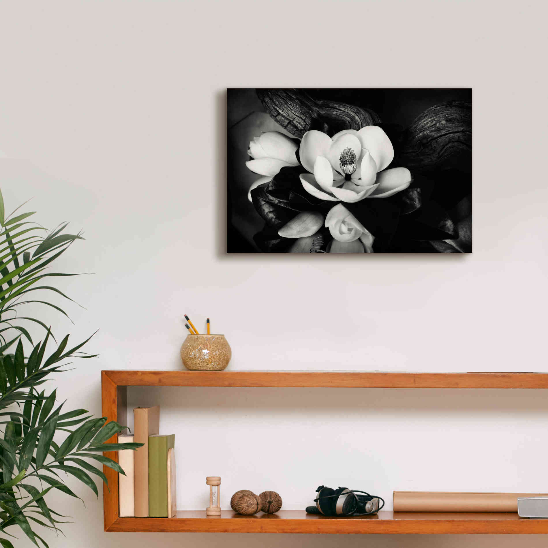 'Magnolia and Driftwood II' by Debra Van Swearingen, Canvas Wall Art,18 x 12