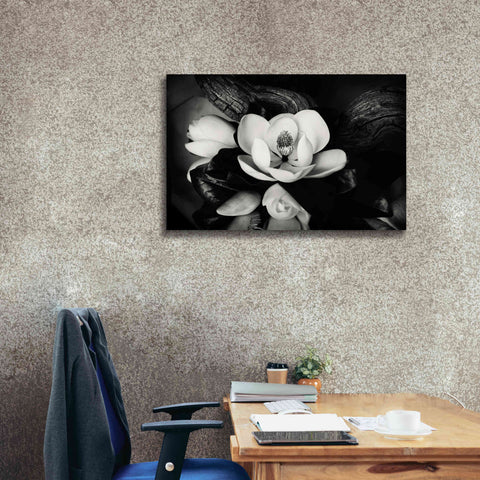 Image of 'Magnolia and Driftwood II' by Debra Van Swearingen, Canvas Wall Art,40 x 26