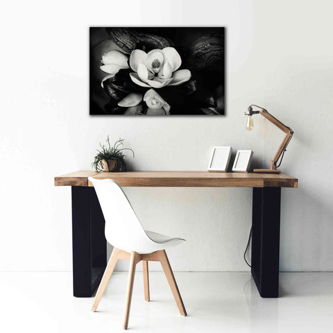 Image of 'Magnolia and Driftwood II' by Debra Van Swearingen, Canvas Wall Art,40 x 26
