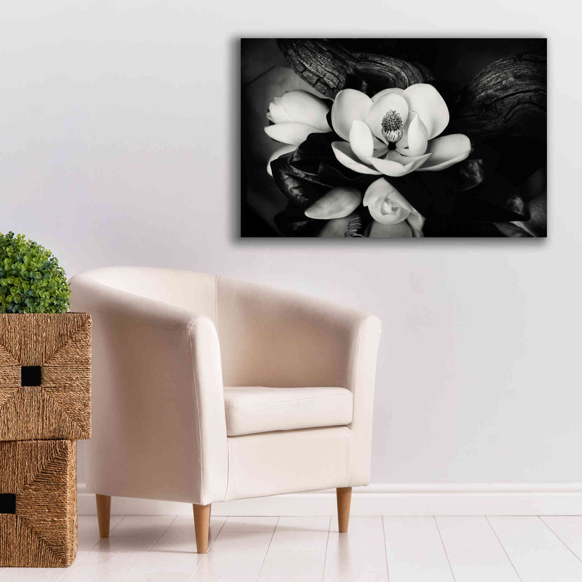 'Magnolia and Driftwood II' by Debra Van Swearingen, Canvas Wall Art,40 x 26
