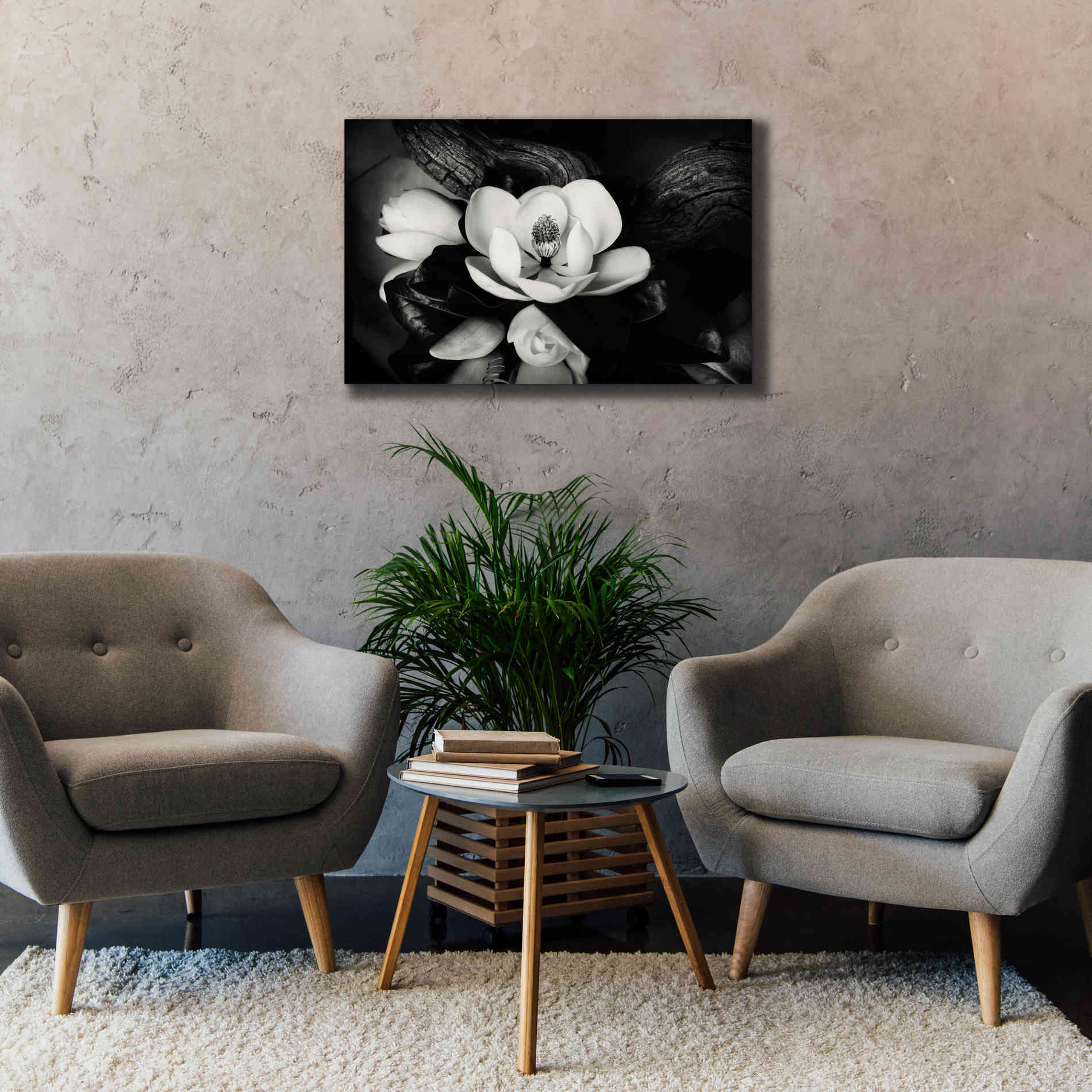 'Magnolia and Driftwood II' by Debra Van Swearingen, Canvas Wall Art,40 x 26