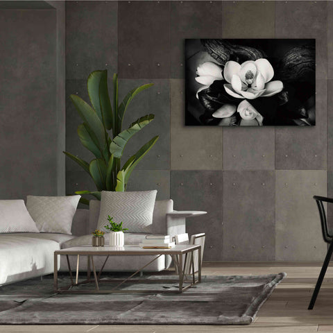Image of 'Magnolia and Driftwood II' by Debra Van Swearingen, Canvas Wall Art,60 x 40