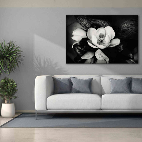 Image of 'Magnolia and Driftwood II' by Debra Van Swearingen, Canvas Wall Art,60 x 40