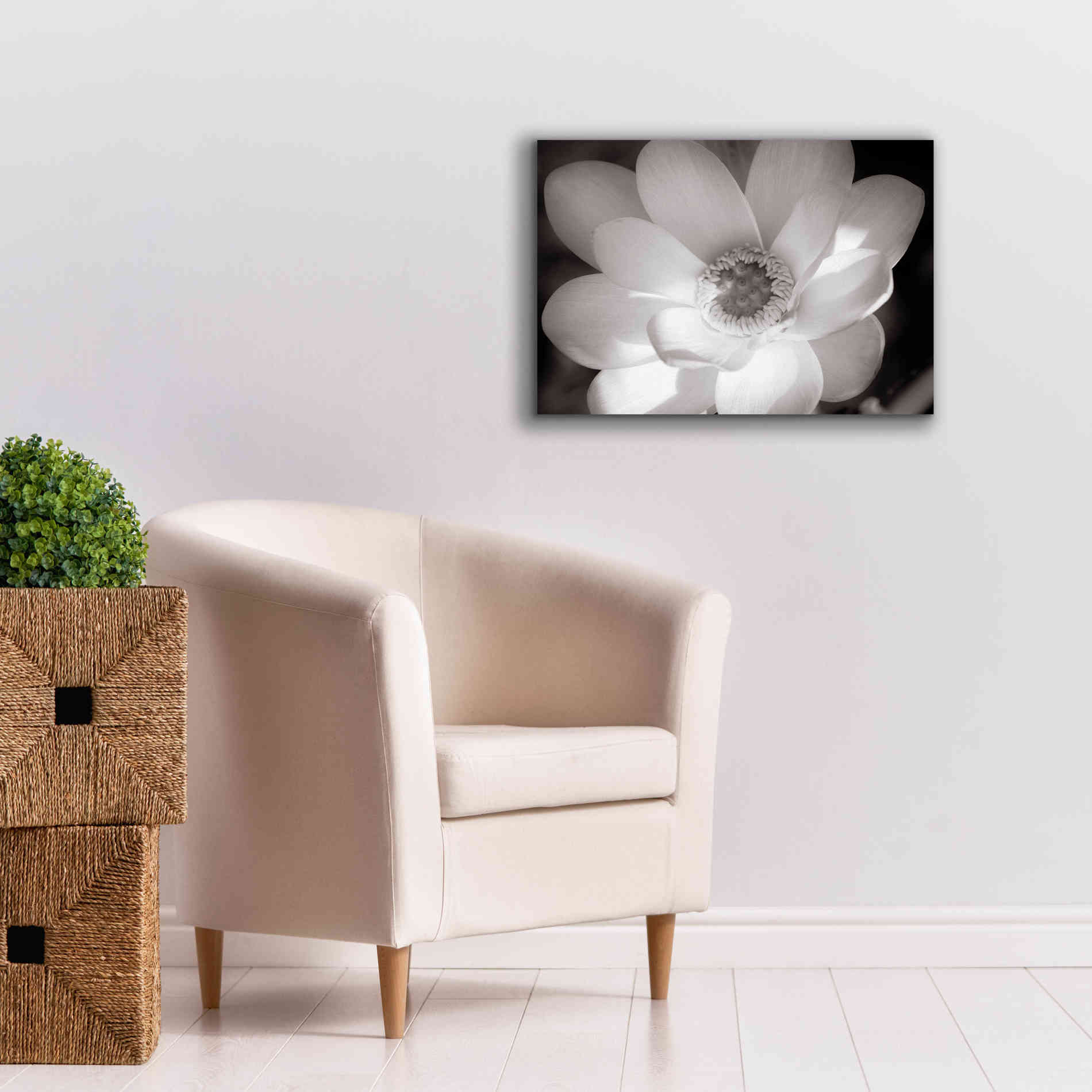 'Lotus Flower V' by Debra Van Swearingen, Canvas Wall Art,26 x 18