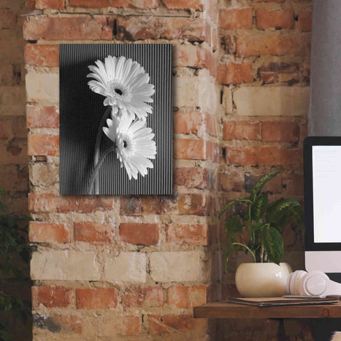 Image of 'Fresh Cut Daisy I' by Debra Van Swearingen, Canvas Wall Art,12 x 16