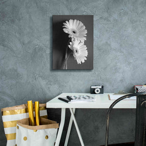 'Fresh Cut Daisy I' by Debra Van Swearingen, Canvas Wall Art,12 x 16
