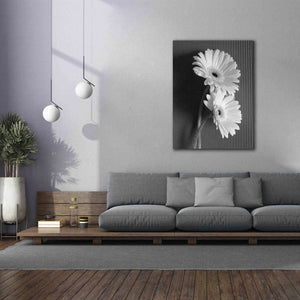 'Fresh Cut Daisy I' by Debra Van Swearingen, Canvas Wall Art,40 x 54