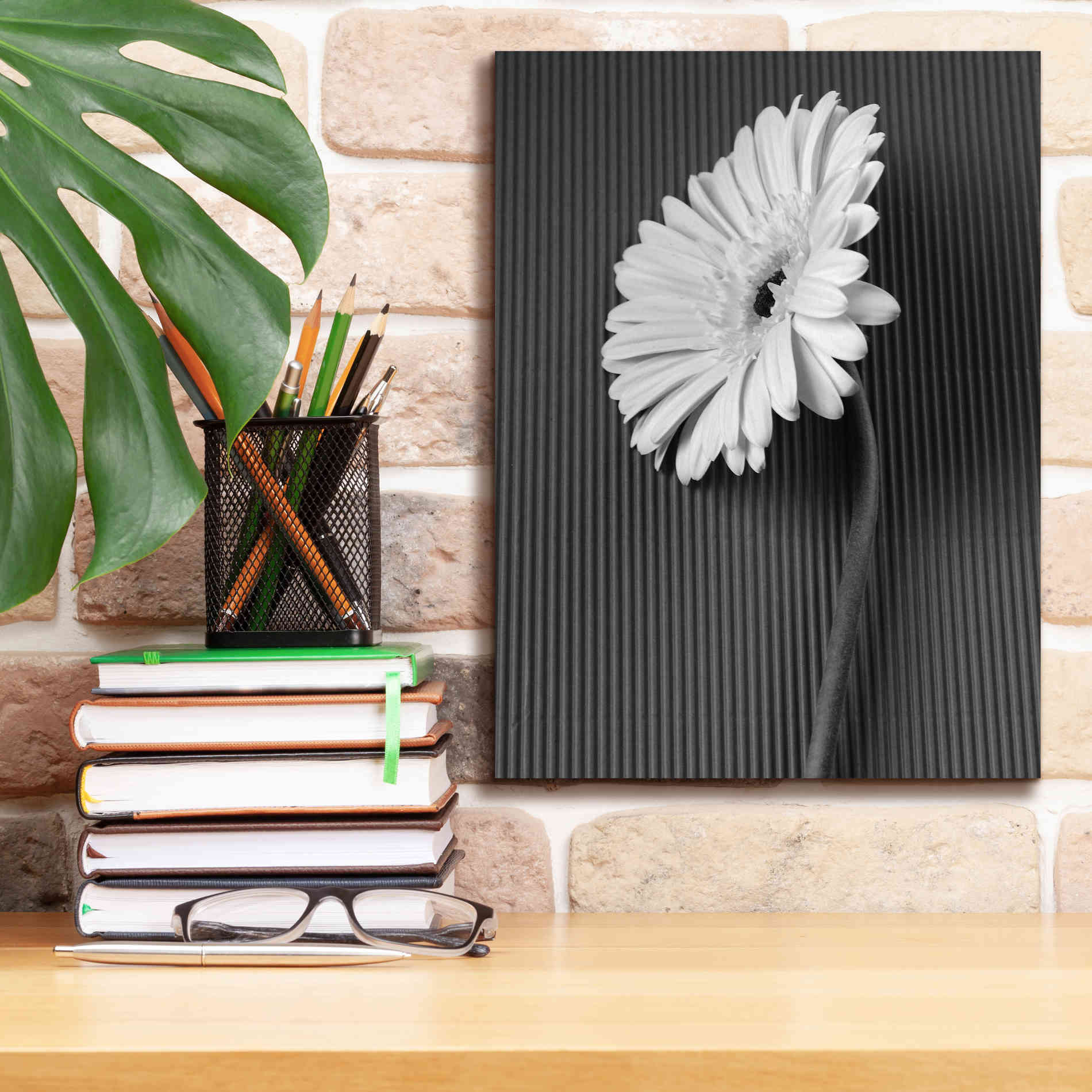 'Fresh Cut Daisy II' by Debra Van Swearingen, Canvas Wall Art,12 x 16