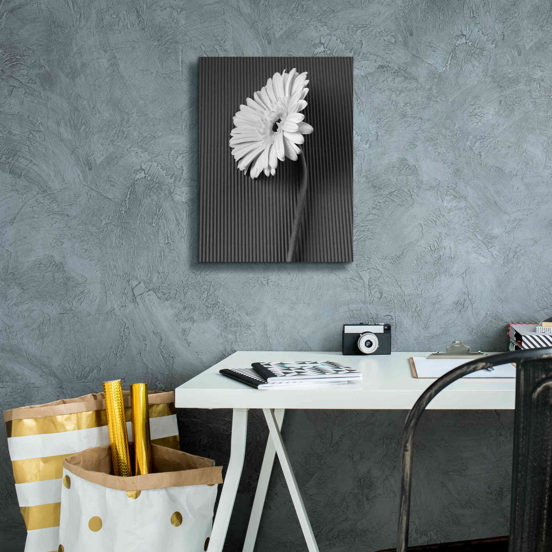 'Fresh Cut Daisy II' by Debra Van Swearingen, Canvas Wall Art,12 x 16