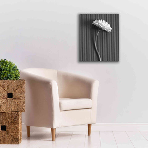 Image of 'Fresh Cut Daisy III' by Debra Van Swearingen, Canvas Wall Art,20 x 24