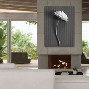 'Fresh Cut Daisy III' by Debra Van Swearingen, Canvas Wall Art,40 x 54