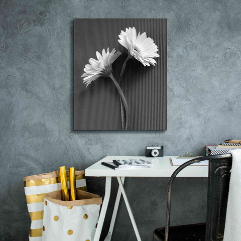 Image of 'Fresh Cut Daisy IV' by Debra Van Swearingen, Canvas Wall Art,20 x 24