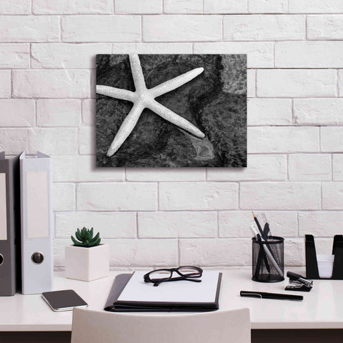 Image of 'Explore' by Debra Van Swearingen, Canvas Wall Art,16 x 12