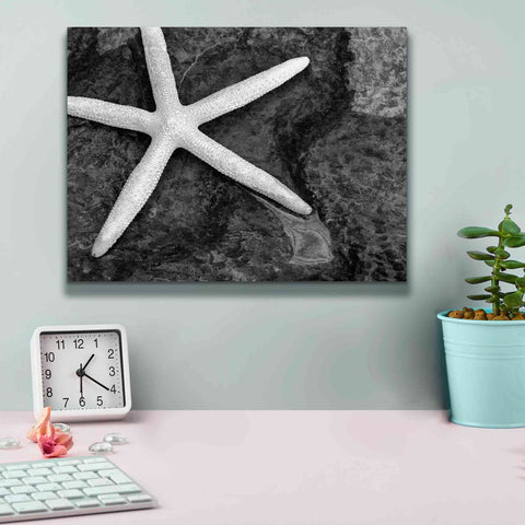 Image of 'Explore' by Debra Van Swearingen, Canvas Wall Art,16 x 12
