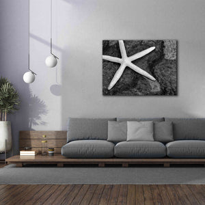 'Explore' by Debra Van Swearingen, Canvas Wall Art,54 x 40