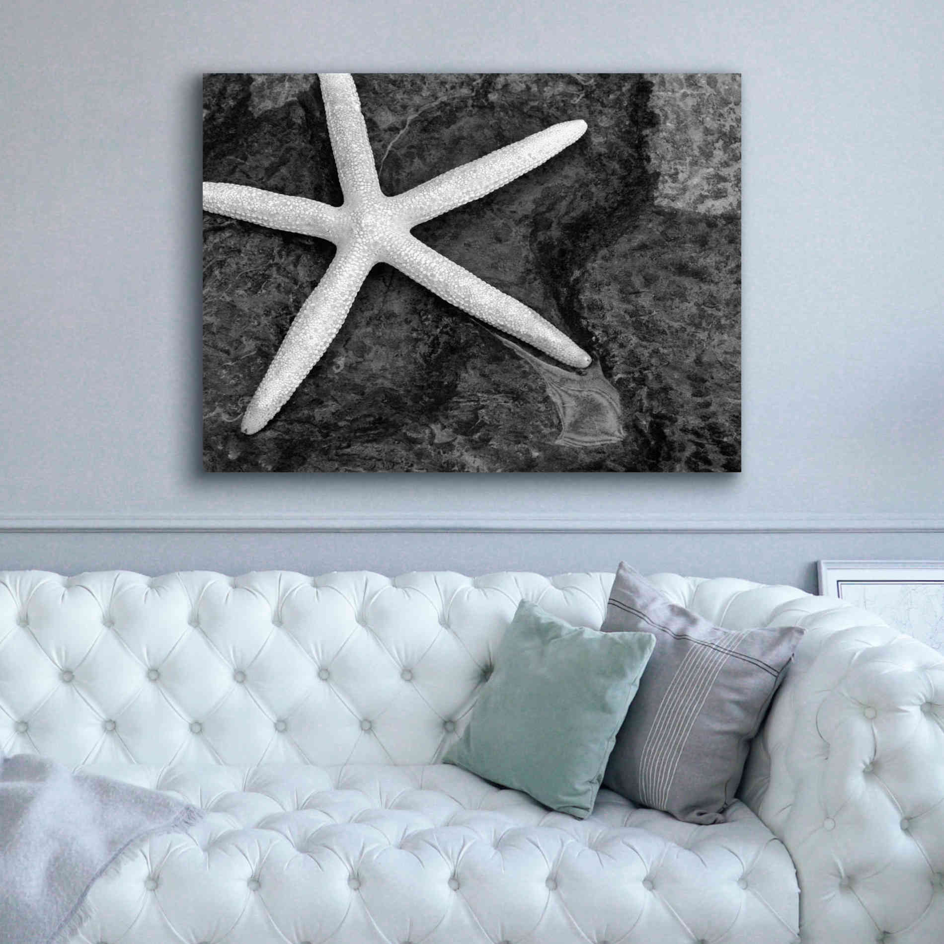 'Explore' by Debra Van Swearingen, Canvas Wall Art,54 x 40