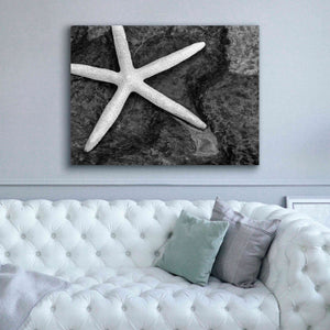 'Explore' by Debra Van Swearingen, Canvas Wall Art,54 x 40