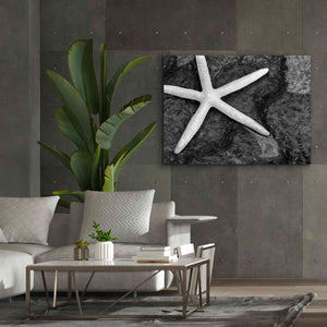 'Explore' by Debra Van Swearingen, Canvas Wall Art,54 x 40