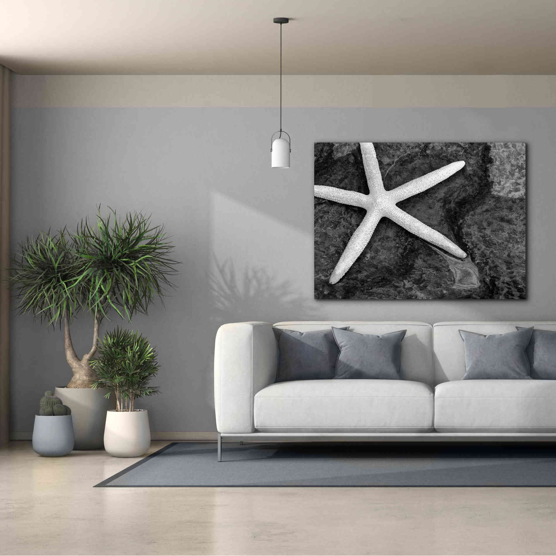 'Explore' by Debra Van Swearingen, Canvas Wall Art,54 x 40