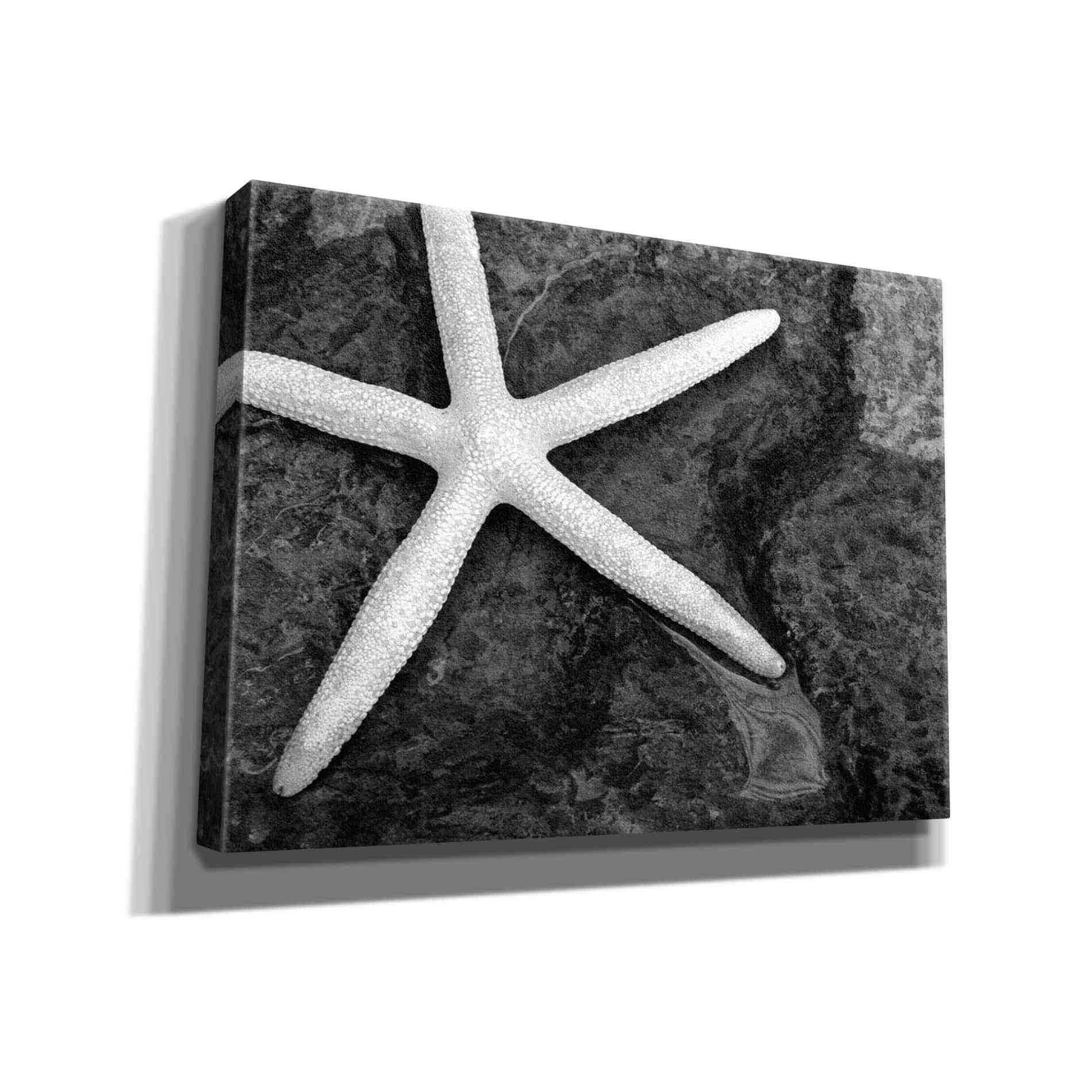 'Explore' by Debra Van Swearingen, Canvas Wall Art,16x12x1.1x0,26x18x1.1x0,34x26x1.74x0,54x40x1.74x0