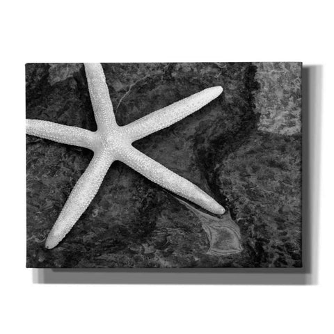 Image of 'Explore' by Debra Van Swearingen, Canvas Wall Art,16x12x1.1x0,26x18x1.1x0,34x26x1.74x0,54x40x1.74x0