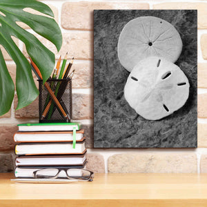 'Dream' by Debra Van Swearingen, Canvas Wall Art,12 x 16